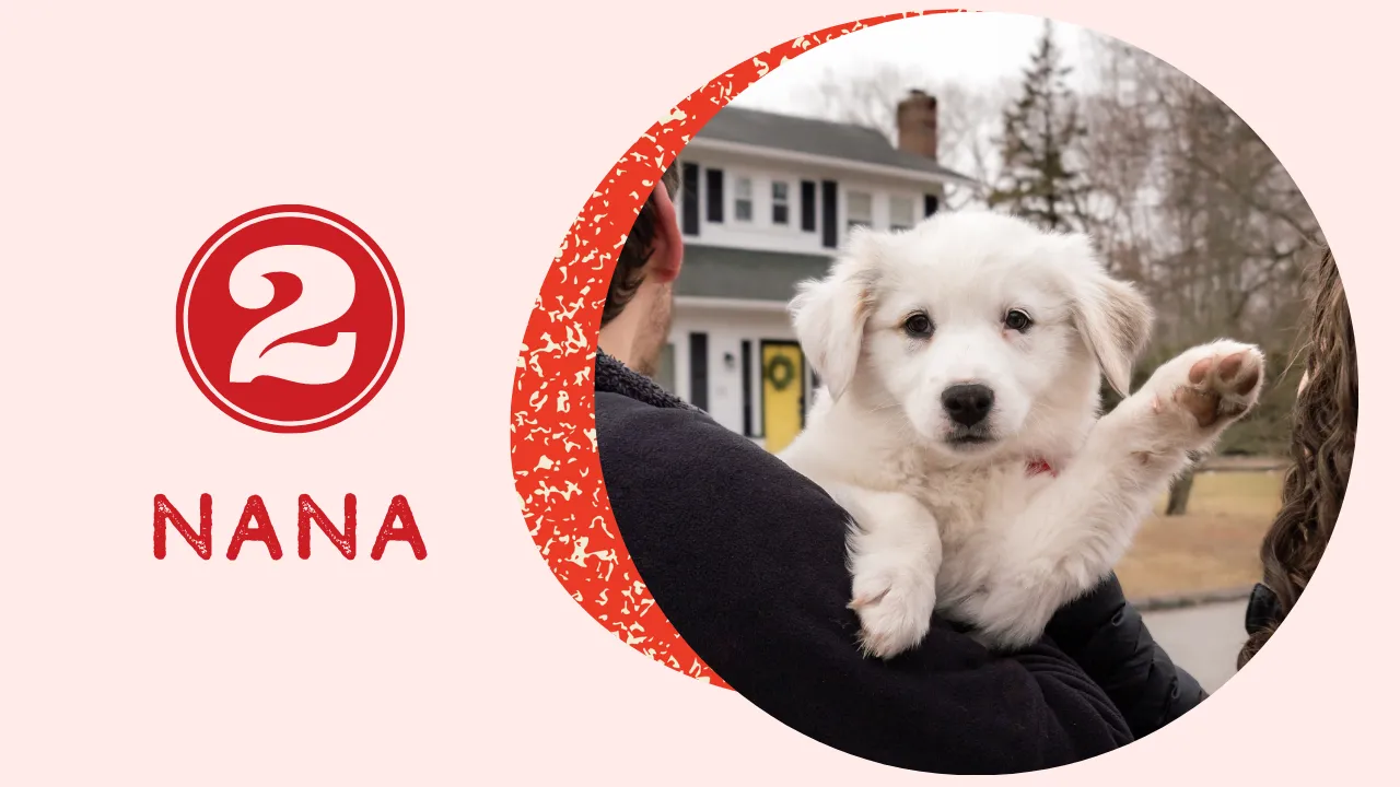 Two young, fluffy puppies, possibly sisters, snuggled together with happy expressions, representing Nana and Naya.