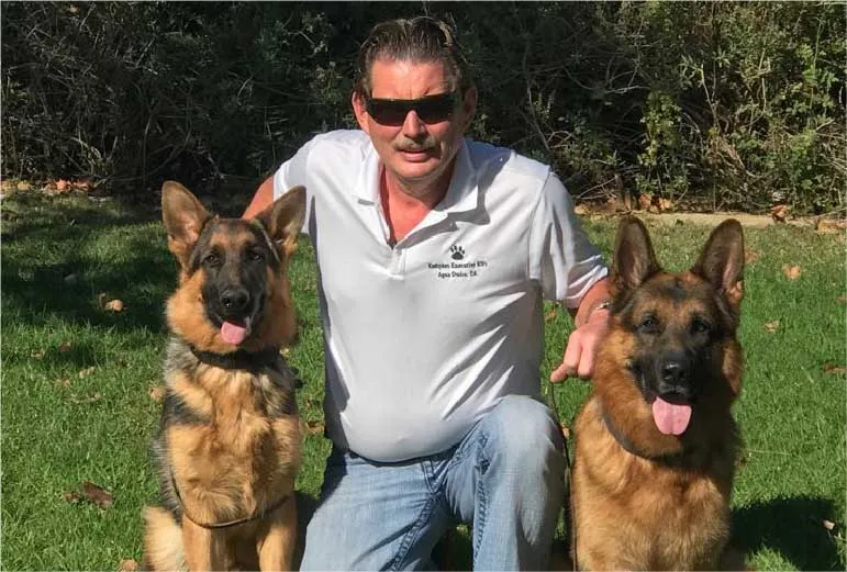 Types of German Shepherds Based on Breeding Lines