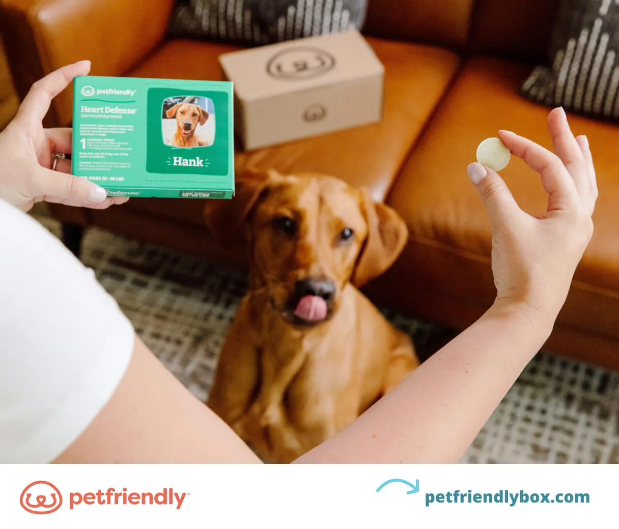 types of heartworm medications for dogs