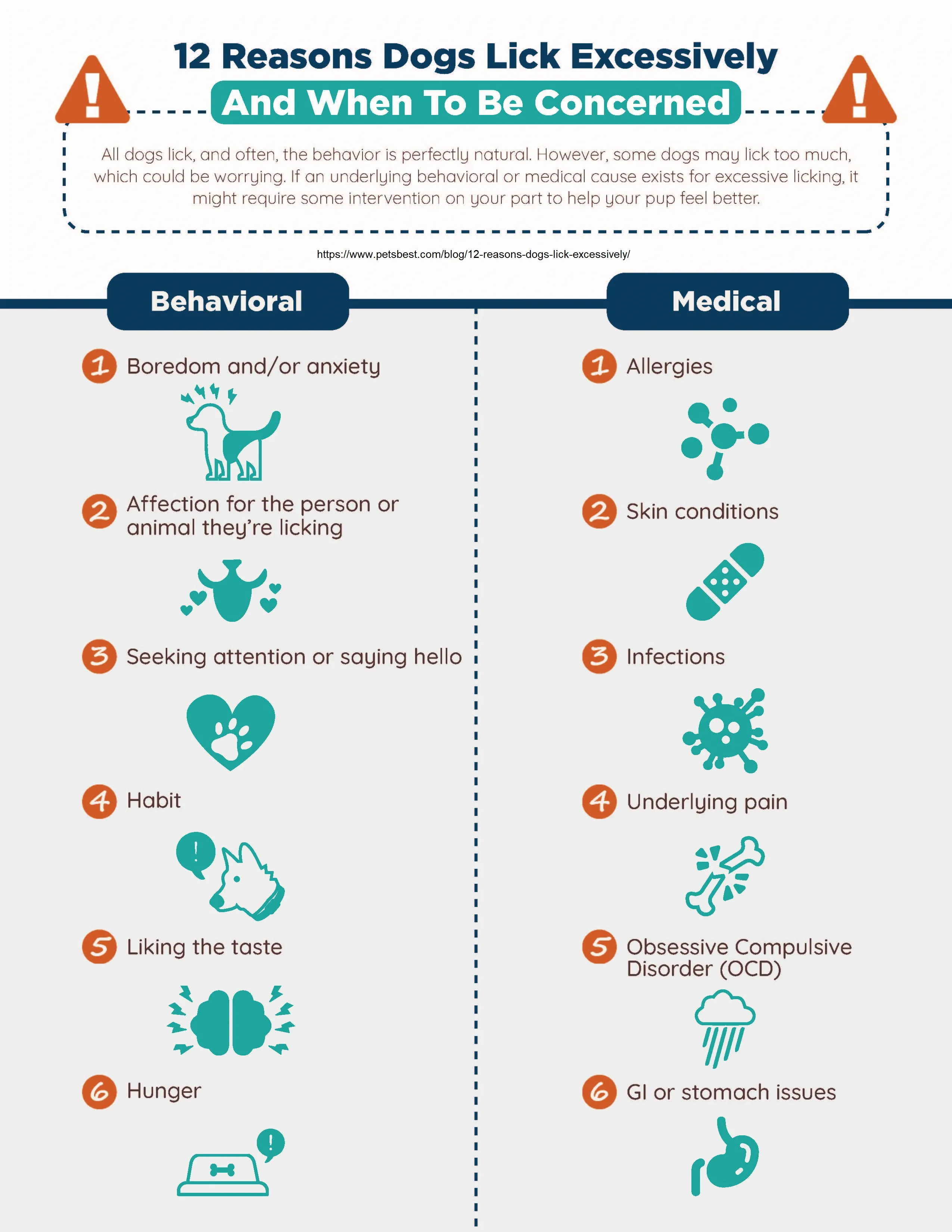 Understanding Compulsive Licking Disorder: A visual guide to behavioral and medical causes in dogs.