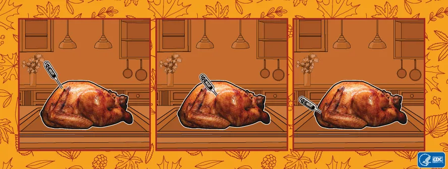 Using a food thermometer to check the internal temperature of cooked turkey for safe pet consumption, demonstrating placement in breast and thigh.