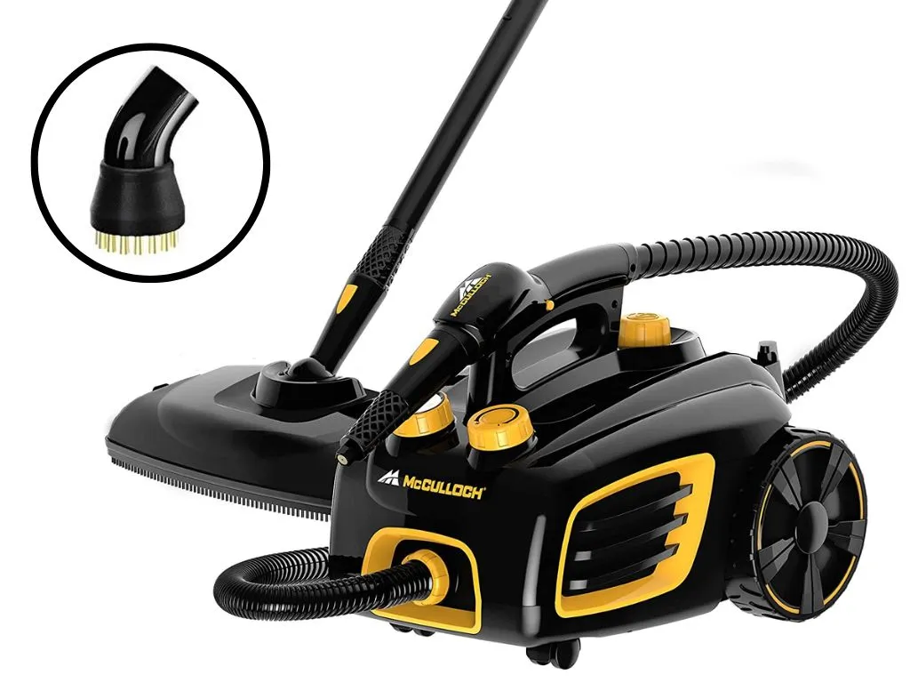 Using a steamer with a wire bristle attachment to remove dog hair from car carpet