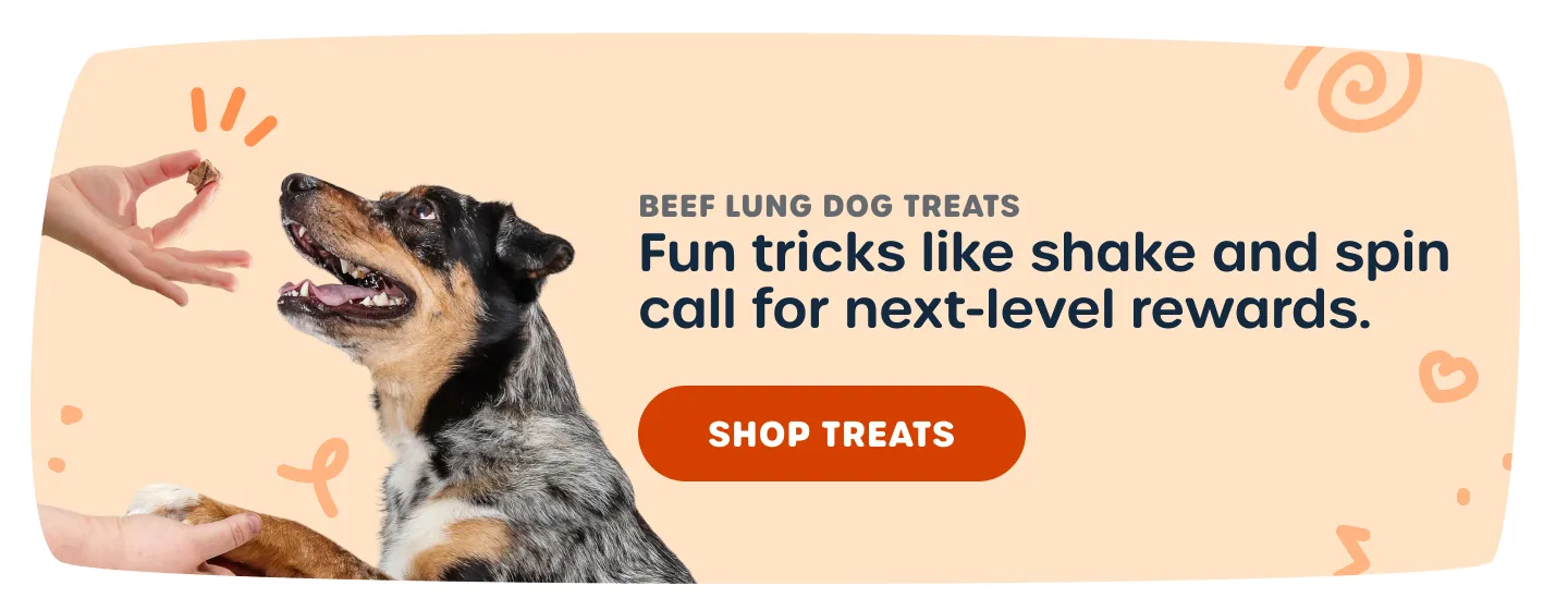 Variety of healthy puppy training treats