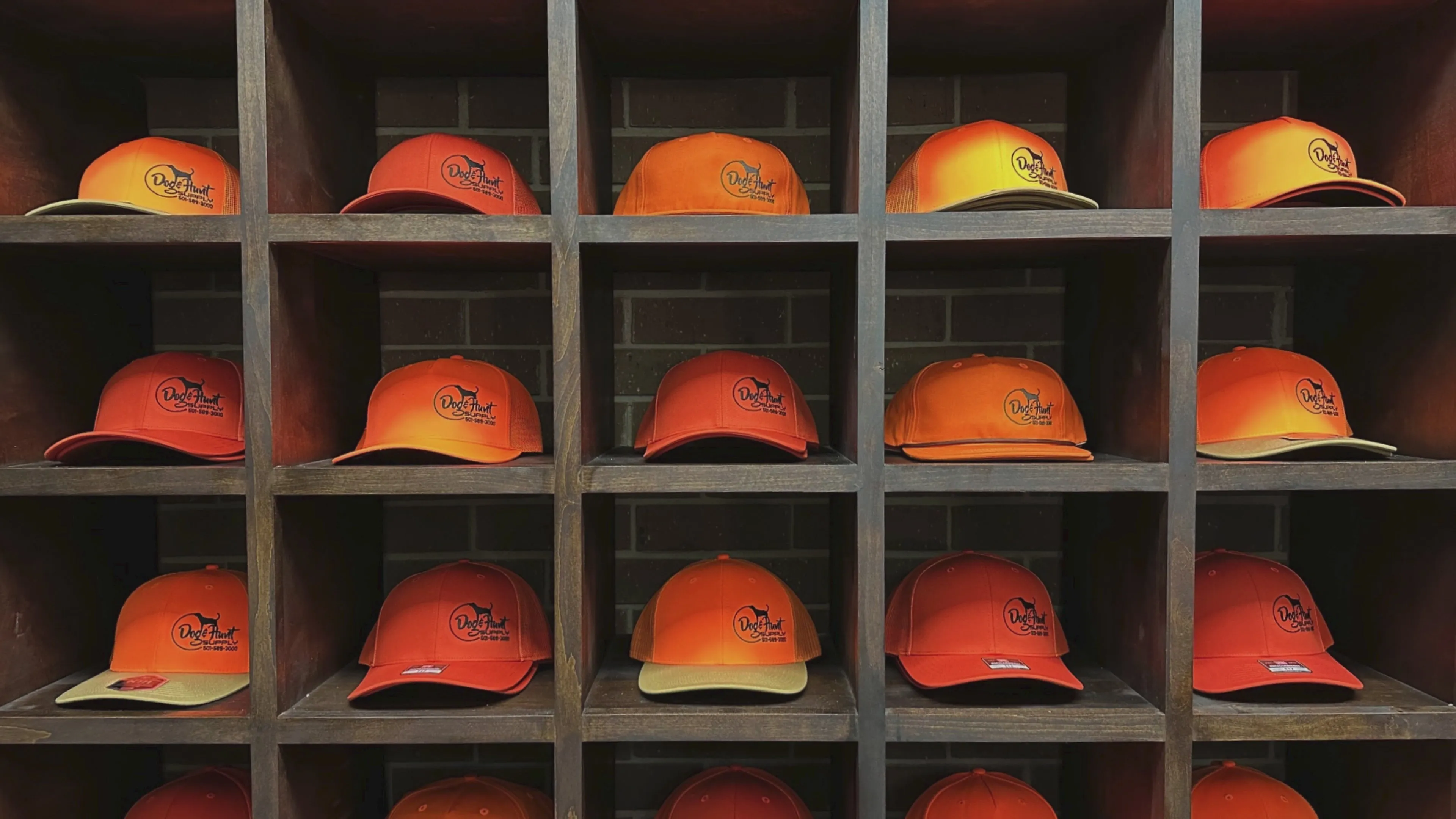 Various colorful dog collars for safety and style