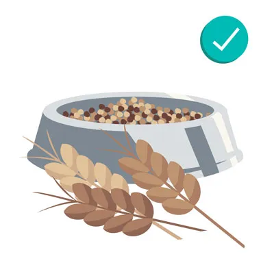 Various grains including wheat and quinoa, safe and healthy additions to a dog's diet in moderation