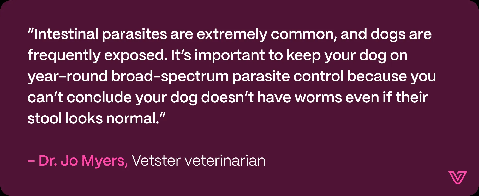 Veterinarian Jo Myers quote on the importance of year-round parasite control for dogs.
