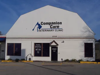 Veterinarian providing gentle companion care to a happy dog during a wellness check-up