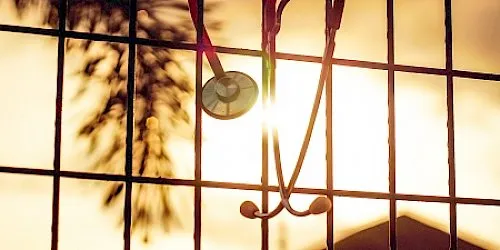 Veterinary services brochure with a dog