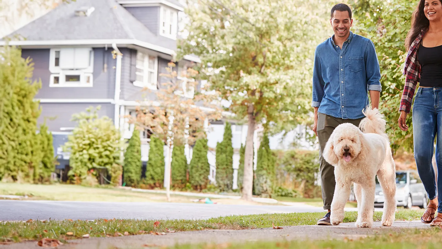 Veterinary staff interacting with a dog in a clinic setting