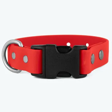 Vibrant green waterproof dog collar featuring a secure plastic quick-release buckle.