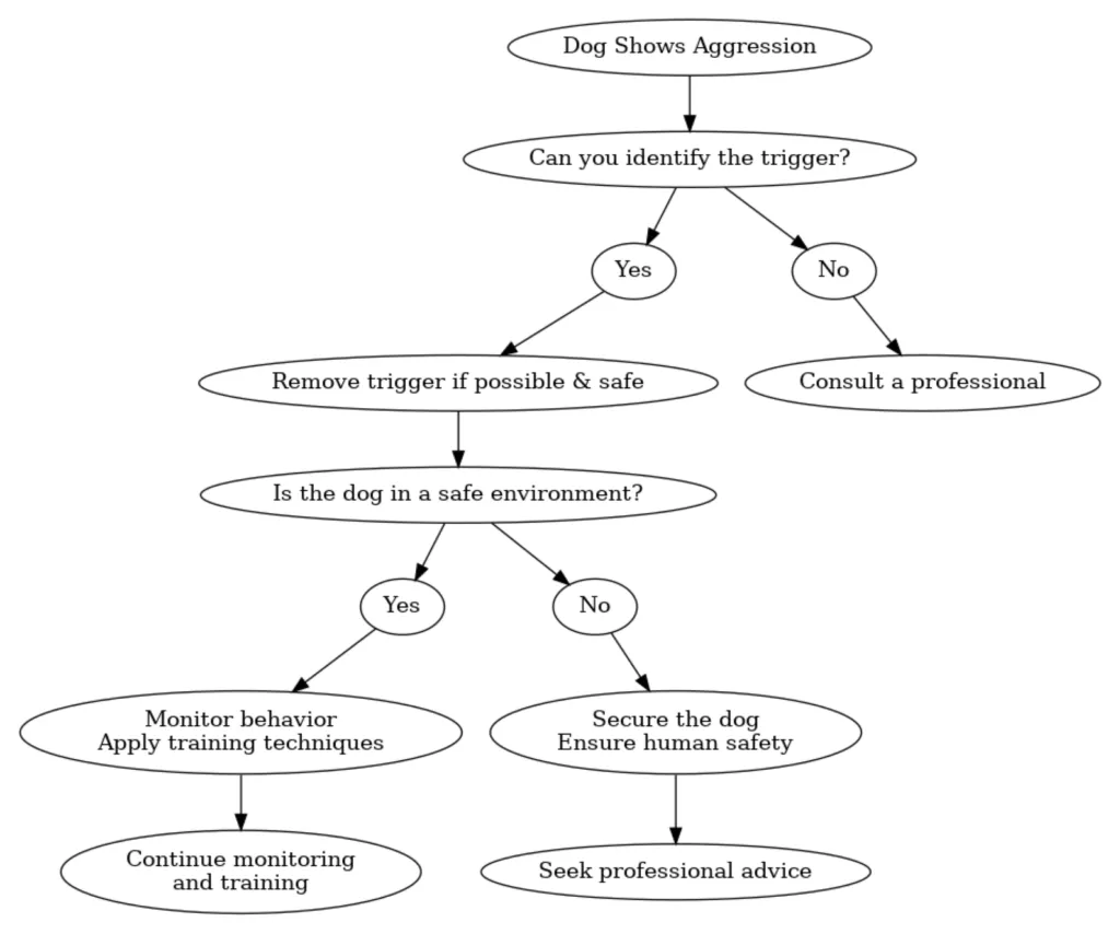 Visual aid showing how to decide if you need professional help for dog aggression.
