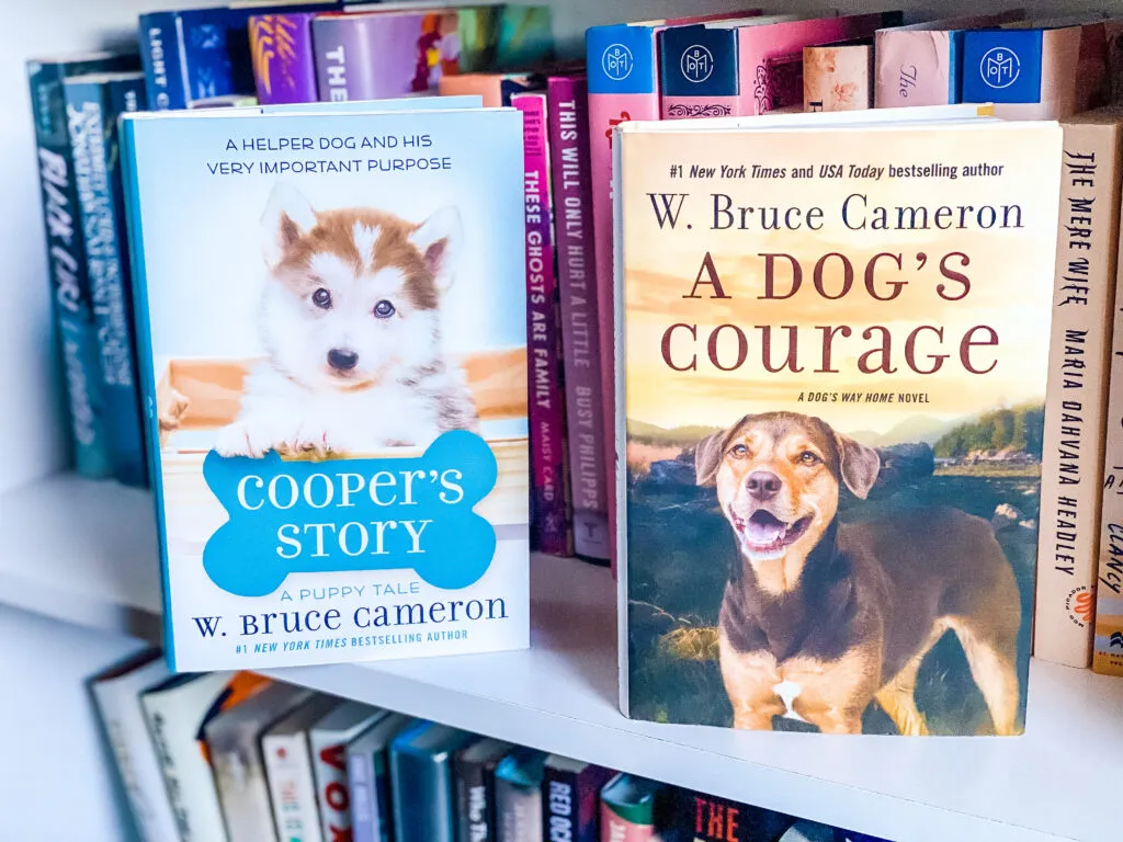 W. Bruce Cameron and interviewer discussing dog care books