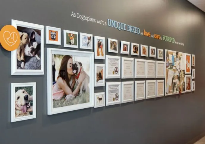 Wall adorned with dog certificates and happy pet photos, celebrating our guests