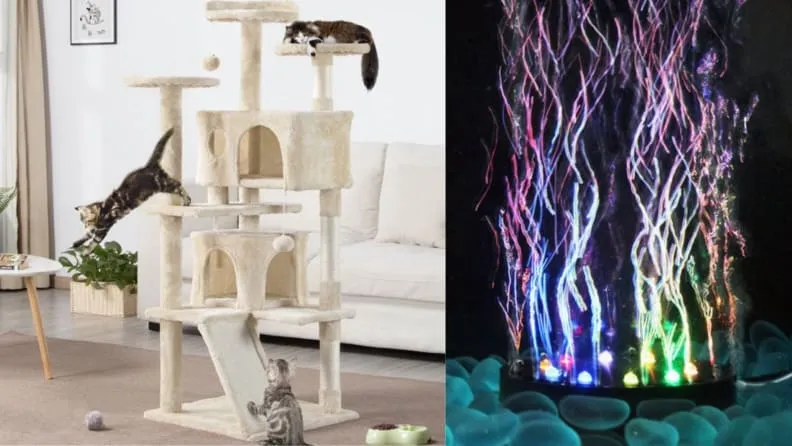 Walmart offers a vast inventory of pet supplies, from food to furniture.