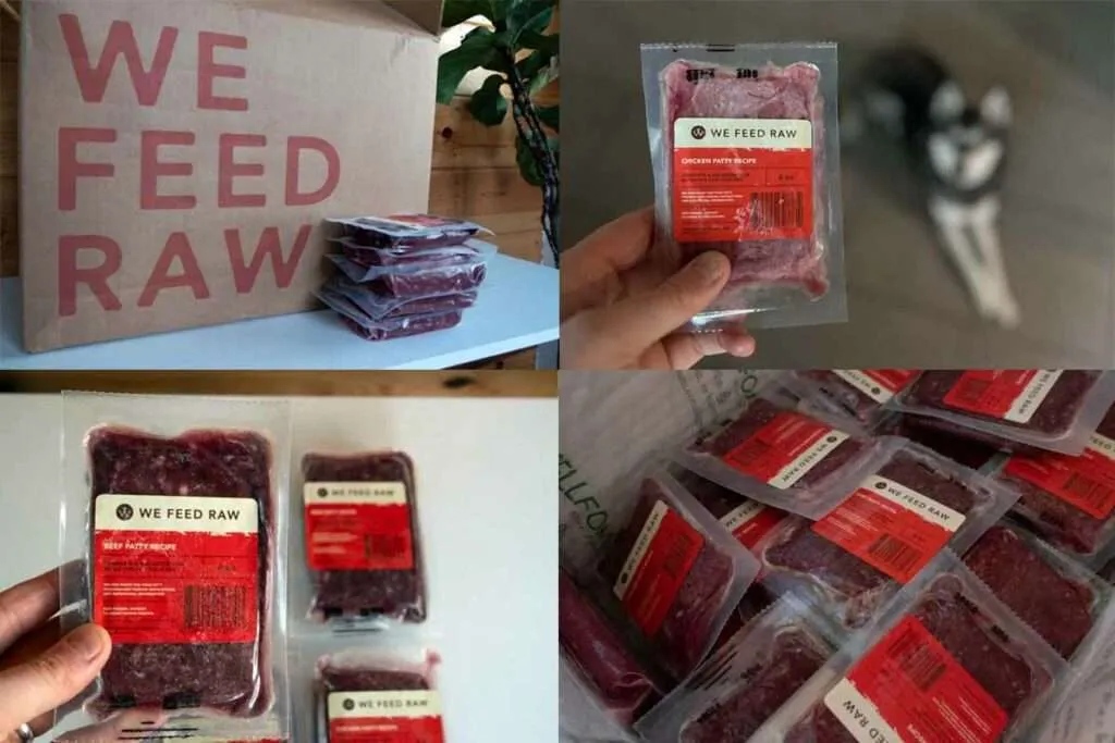 We Feed Raw dog food box and pre-portioned meals for dogs