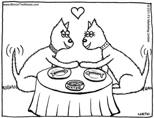 Westies are known for their friendly and affectionate nature, making them wonderful companions.