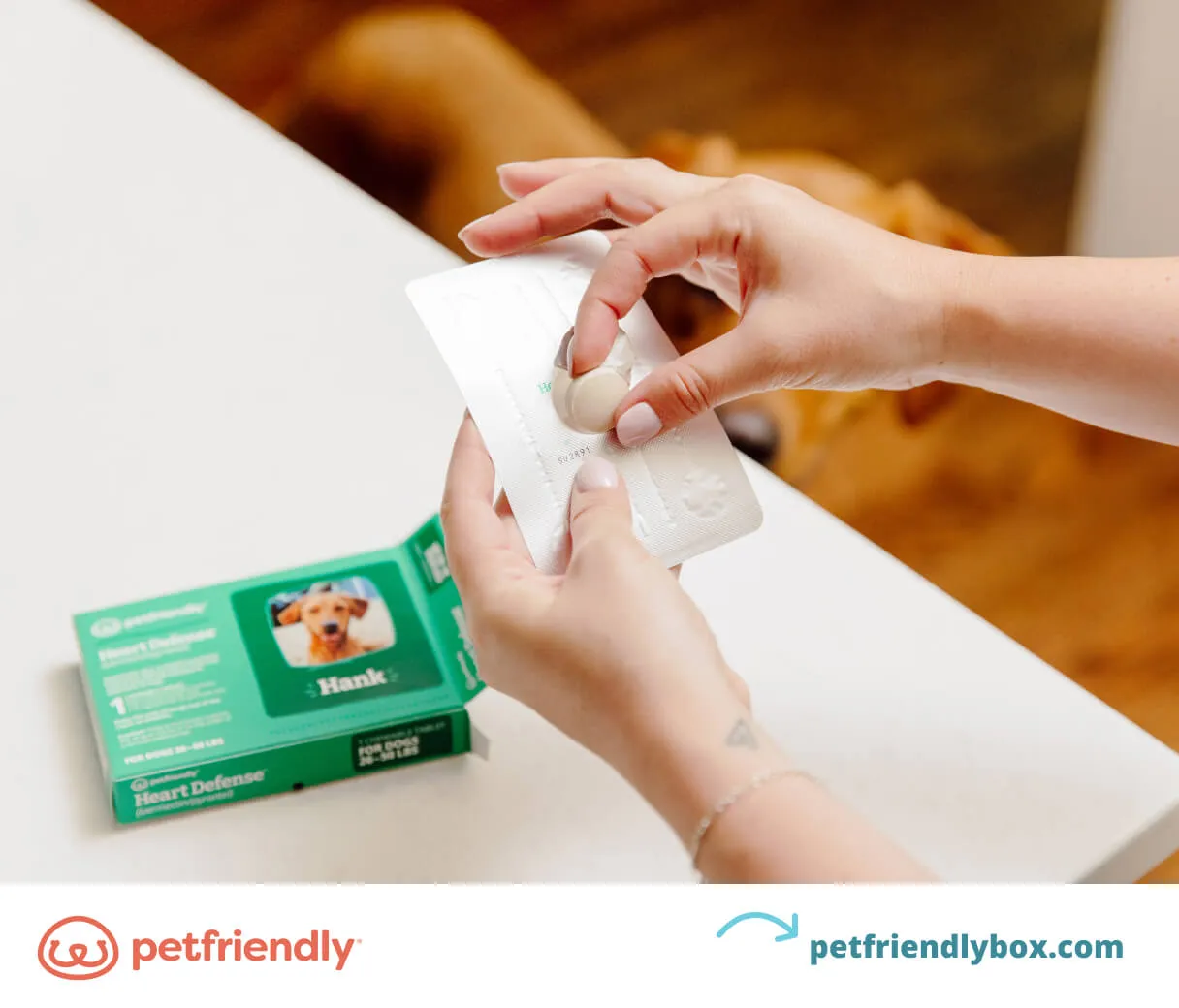 What is heartworm prevention