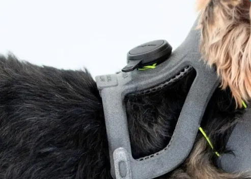wimba dog neck brace