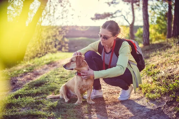 Woman picking tick off dog's fur