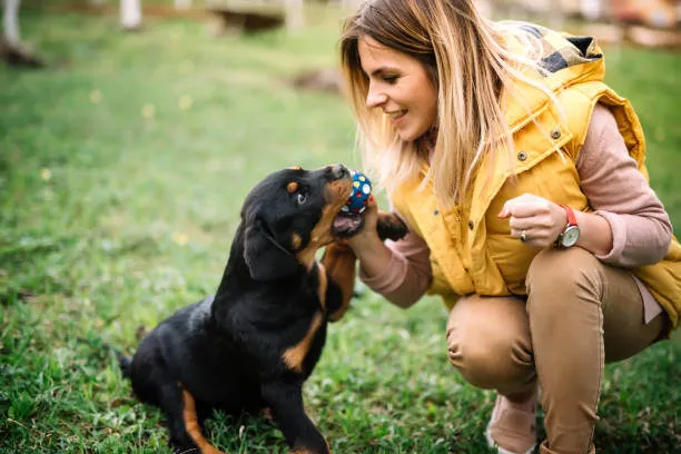 Woman teaching a cute puppy to fetch a red ball, a rewarding trick for dogs.