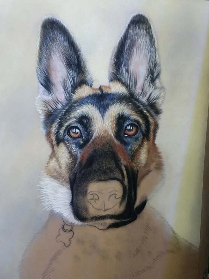 Work in progress on a German Shepherd's muzzle, demonstrating techniques for rendering fur texture.