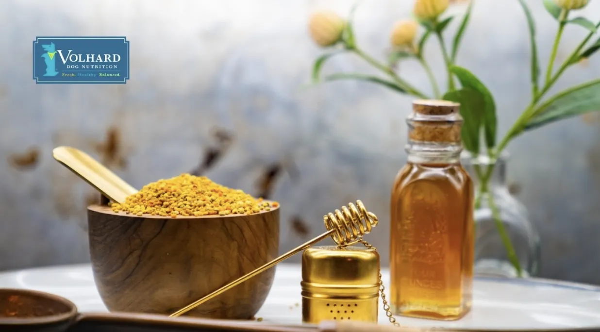 Worker bee collecting pollen from a flower