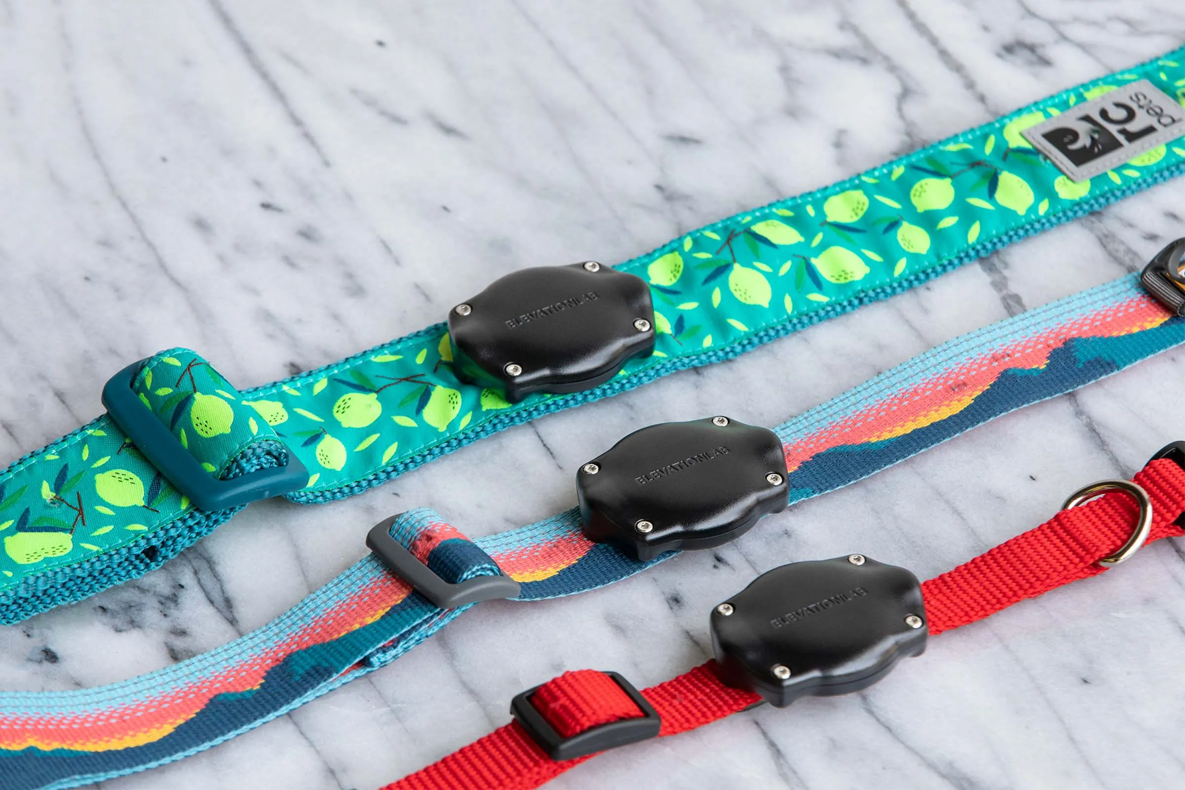 Works With All Collar Widths