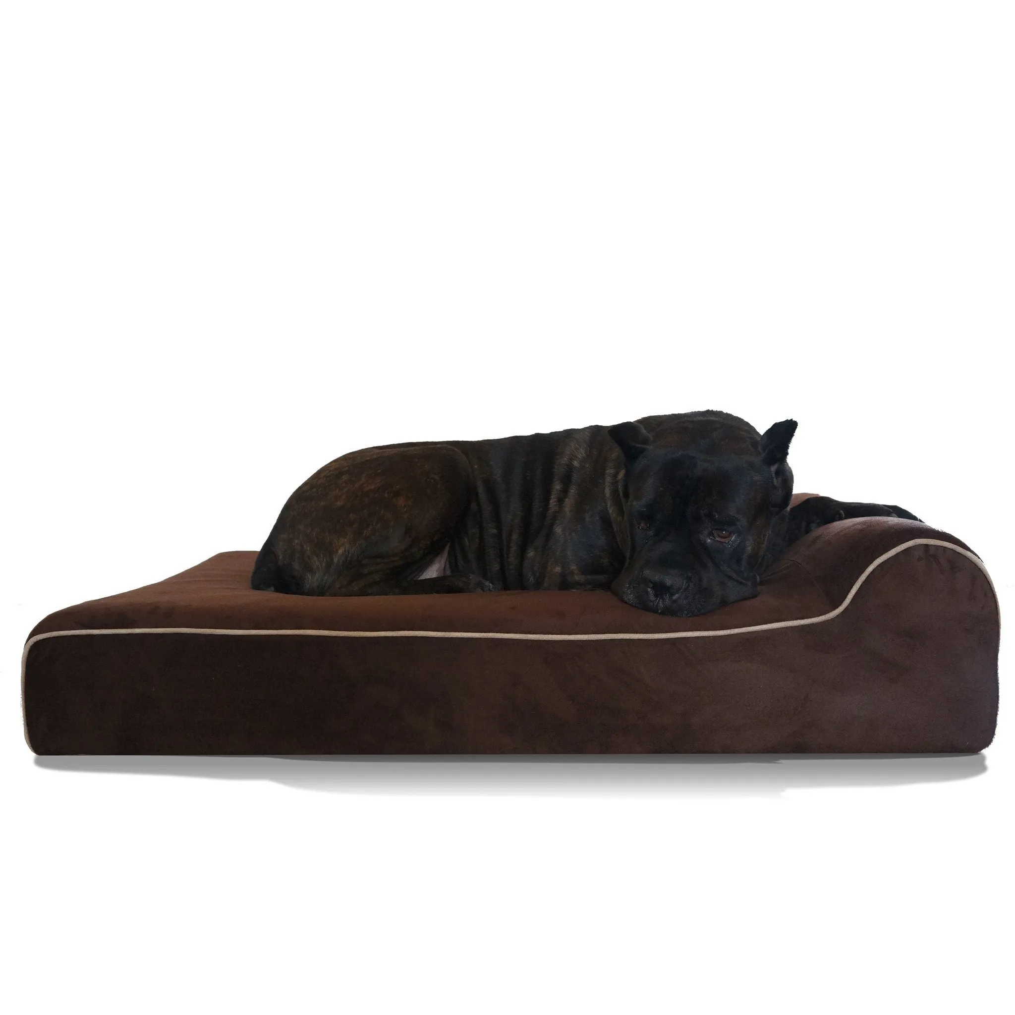 XXL orthopedic dog bed in tan providing spacious comfort for a large breed dog