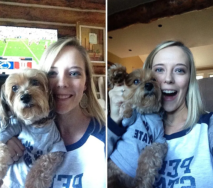 Yorkiepoo, Sophie, dressed in a team jersey, ready for a playful moment or a game day.