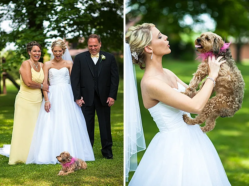Yorkiepoo, Sophie, lovingly embraced by a bride in her wedding dress, showcasing their deep emotional bond.