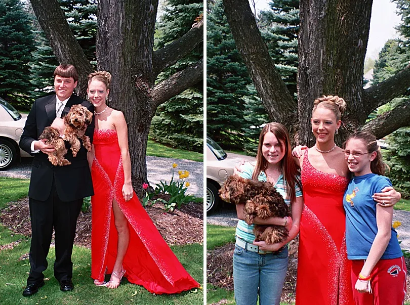 Yorkiepoo, Sophie, posing with a high school graduate, looking calm and well-behaved during a formal event.