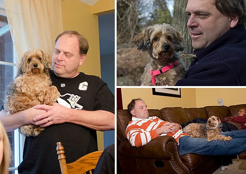 Yorkiepoo, Sophie, with her father, showcasing the strong, protective bond they shared.