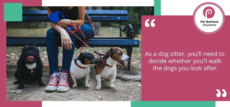 Young woman sat on a park bench with three dogs on leads