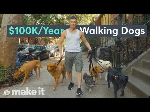 YouTube video explaining how a dog walker earns a high income