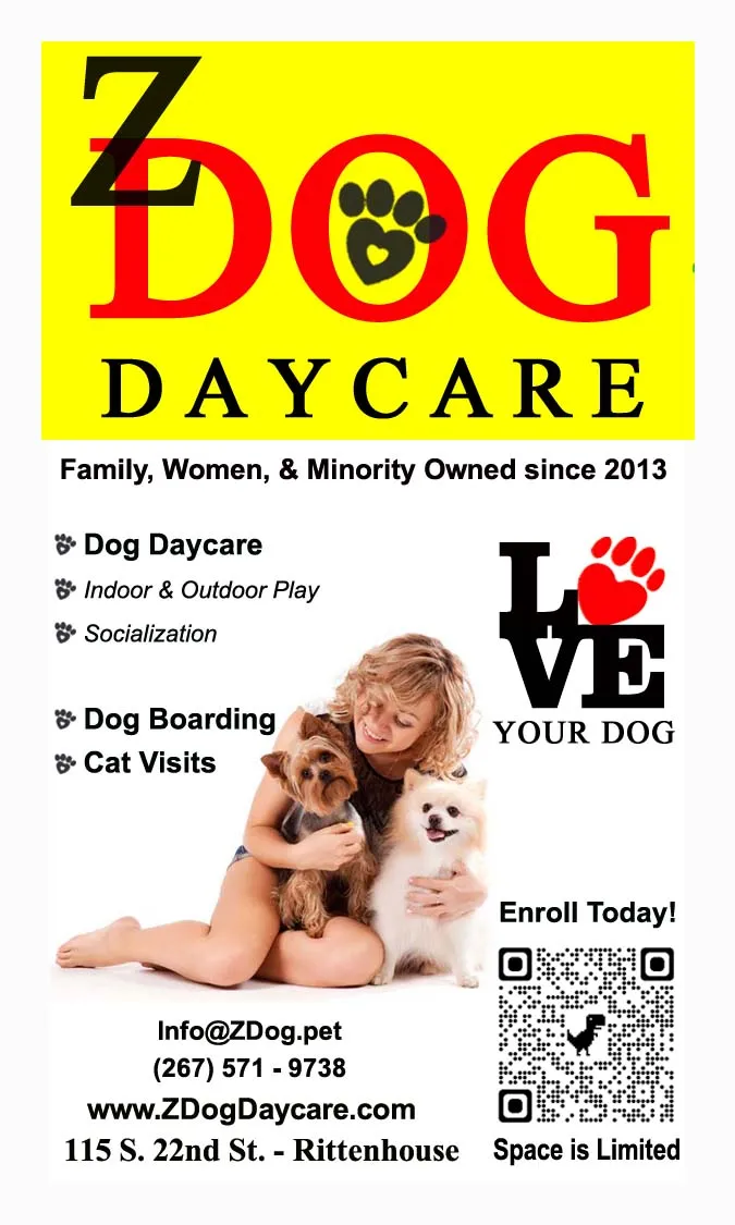 Z Dog Daycare Philly logo, offering experienced doggie daycare and overnight pet care services
