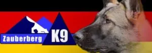 Zauberberg German Shepherd Dog Training Logo