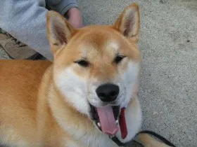 2. Use Passive Resistance