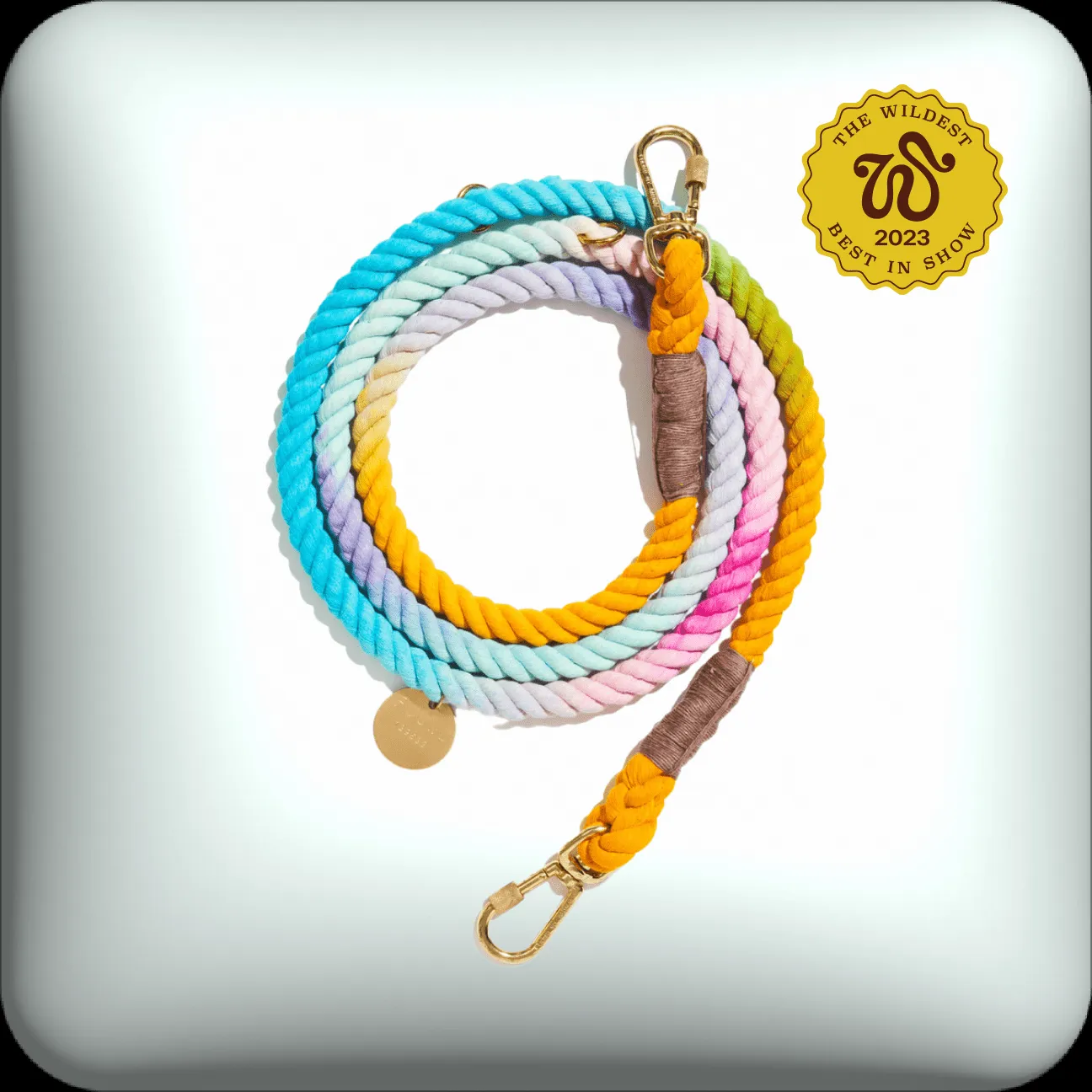 A beautiful ombre cotton rope dog leash by Found My Animal, featuring sturdy marine-grade rope and solid brass hardware.