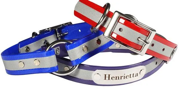 A blue BioThane dog collar with an integrated ID tag, showcasing personalized and reflective features