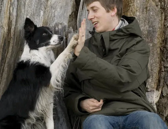 A Border Collie looking directly at the camera with an open mouth, panting lightly