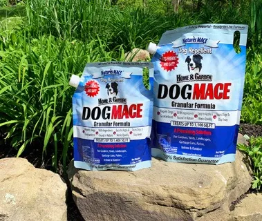 A bottle of dog repellent granular deterrent for digging