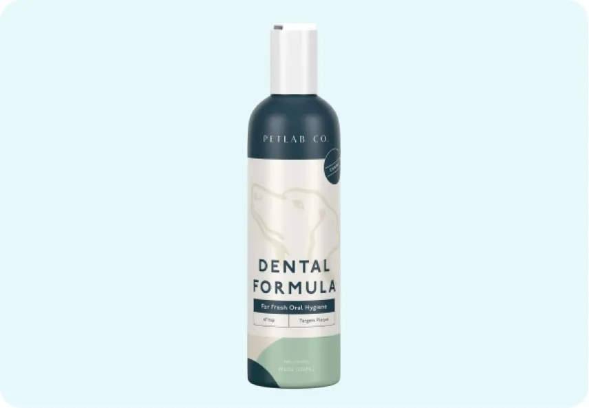 A bottle of Petlab Co. Dental Formula Water Additive, featuring its easy-to-use design.
