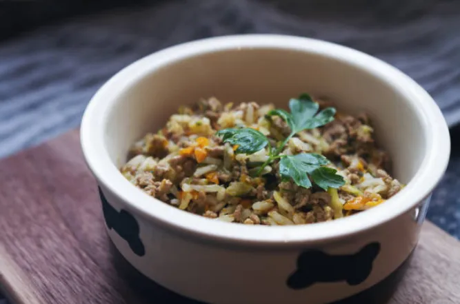 A bowl of homemade chicken and vegetable dog food