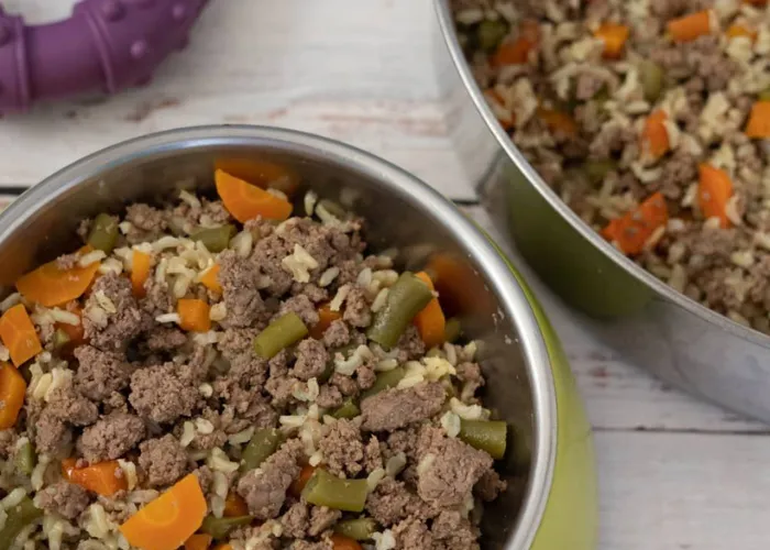 A bowl of lamb and lentil stew, mixed with pureed sweet potatoes and chopped zucchini
