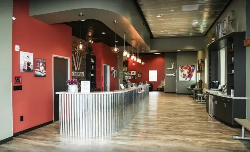 A bright and clean front desk area of a veterinary clinic, demonstrating a professional and inviting environment.