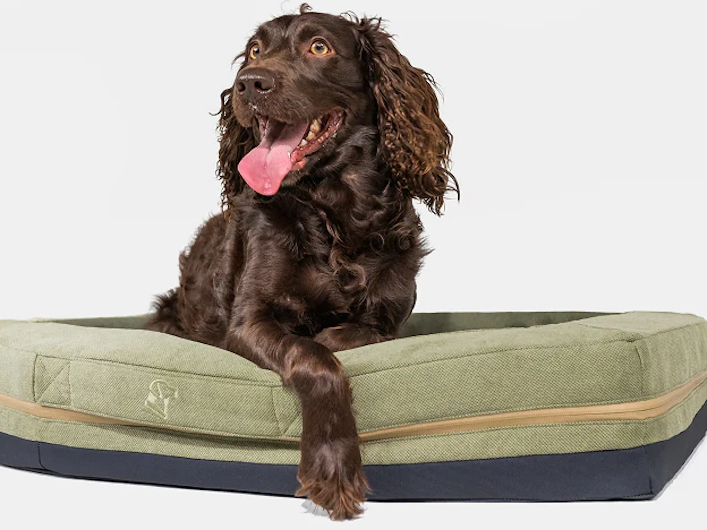 A brown dog lying contentedly on a green Gunner Homestead dog bed.