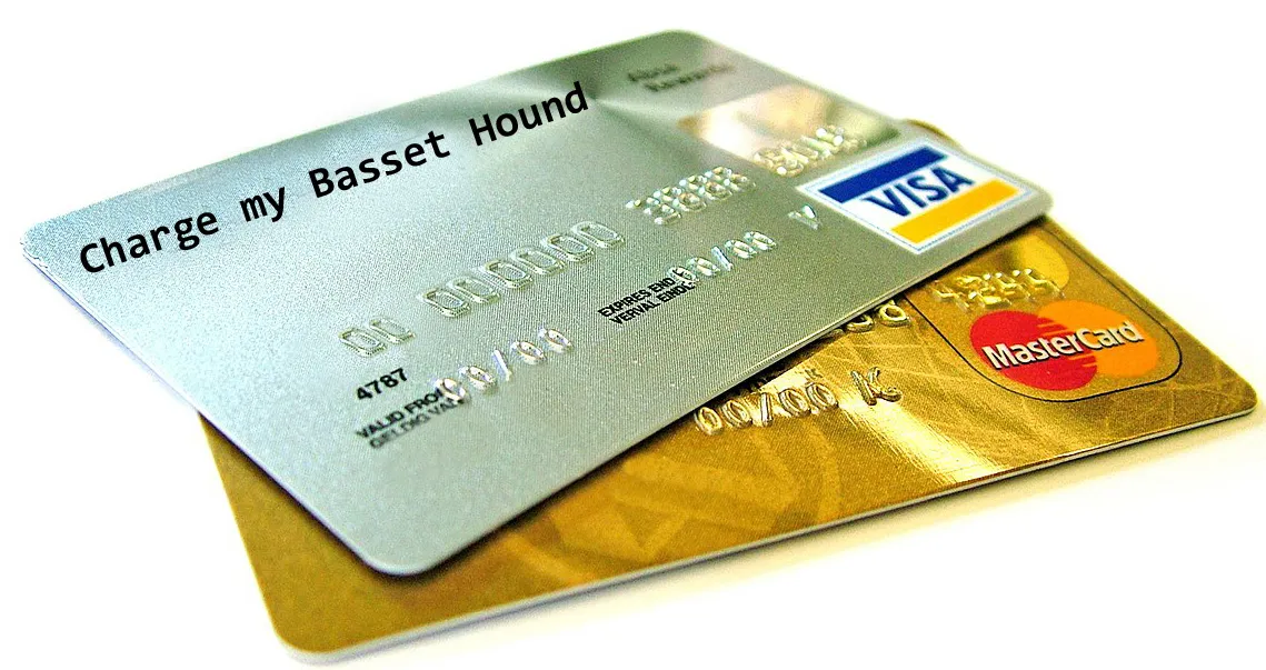 A buyer's guide illustrating warning signs of puppy mills and irresponsible breeders.