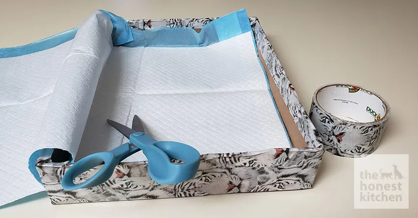 A cardboard box with its sides cut and taped, alongside a potty pad being trimmed to fit inside the box