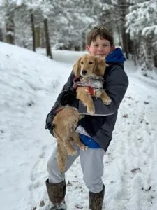 A charming cream miniature dachshund puppy, Milo, with a soft coat