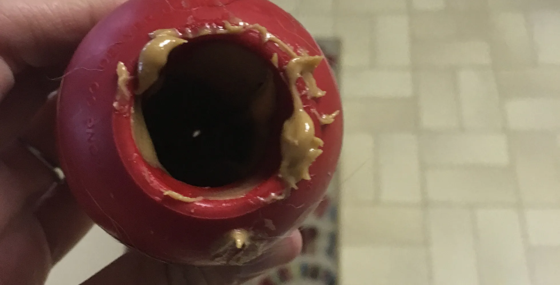A clear Kong toy with a sticky spread applied to its interior